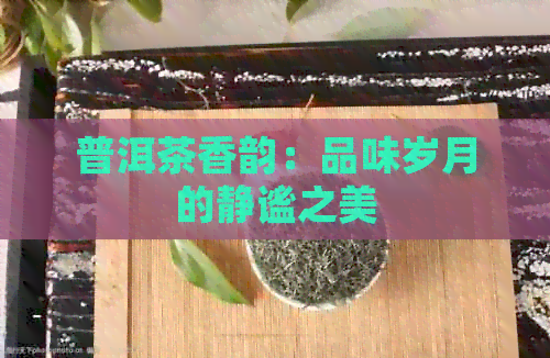 普洱茶香韵：品味岁月的静谧之美