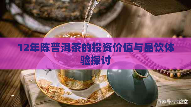 12年陈普洱茶的投资价值与品饮体验探讨