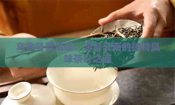 乌金号普洱茶：源自云南的独特风味茶叶之源