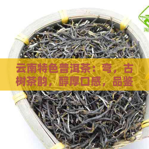 云南特色普洱茶：弯，古树茶韵，醇厚口感，品鉴之旅