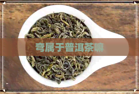 弯属于普洱茶嘛