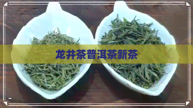 龙井茶普洱茶新茶