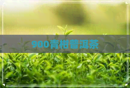 900青柑普洱茶