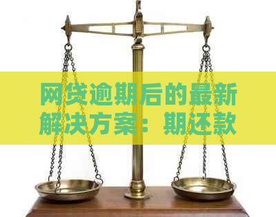 网贷逾期后的最新解决方案：期还款政策详解