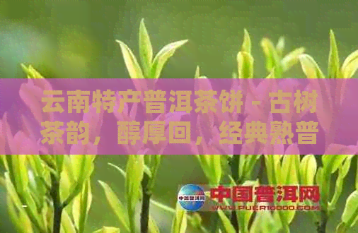 云南特产普洱茶饼 - 古树茶韵，醇厚回，经典熟普新宠