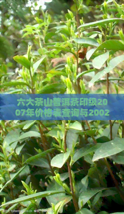 六大茶山普洱茶印级2007年价格表查询与2002年五大系列价格对比