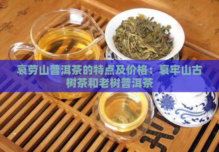 哀劳山普洱茶的特点及价格：哀牢山古树茶和老树普洱茶