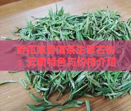 百花潭普洱茶生普古树：云南特色与价格介绍