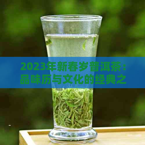 2023年新春岁普洱茶：品味历与文化的经典之选