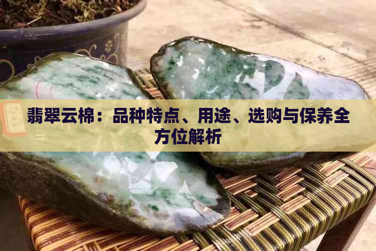 翡翠云棉：品种特点、用途、选购与保养全方位解析