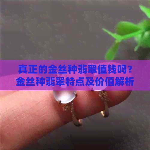 真正的金丝种翡翠值钱吗？金丝种翡翠特点及价值解析