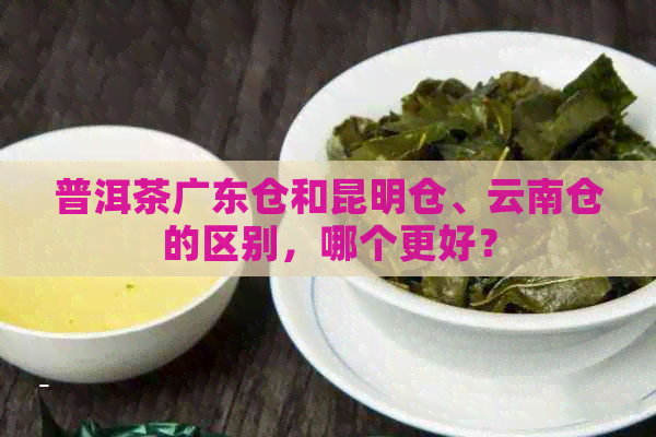 普洱茶广东仓和昆明仓、云南仓的区别，哪个更好？