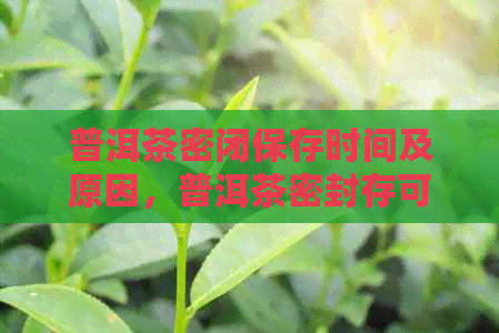 普洱茶密闭保存时间及原因，普洱茶密封存可行吗？