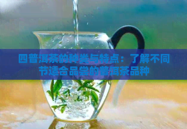 四普洱茶的种类与特点：了解不同节适合品尝的普洱茶品种