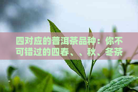 四对应的普洱茶品种：你不可错过的四春、、秋、冬茶