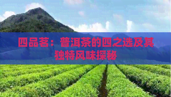 四品茗：普洱茶的四之选及其独特风味探秘