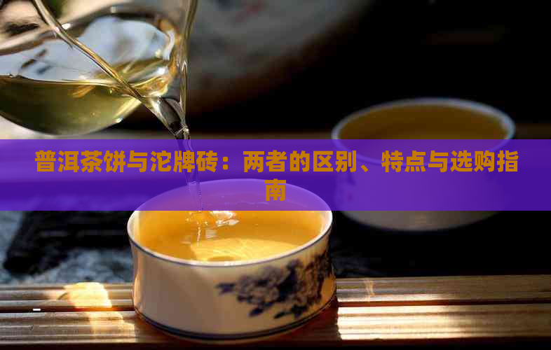 普洱茶饼与沱牌砖：两者的区别、特点与选购指南