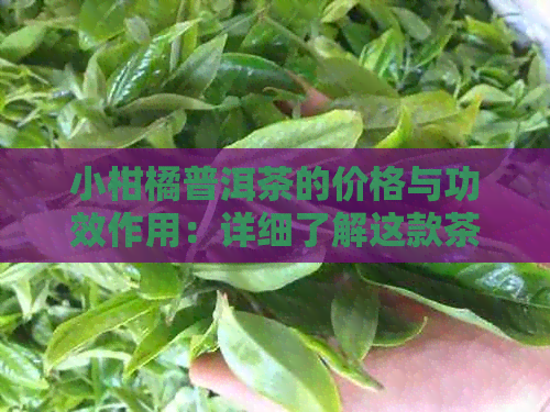 小柑橘普洱茶的价格与功效作用：详细了解这款茶叶的性价比