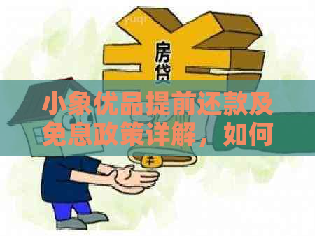 小象优品提前还款及免息政策详解，如何操作？