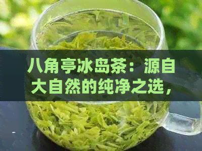 八角亭冰岛茶：源自大自然的纯净之选，品尝经典的味道