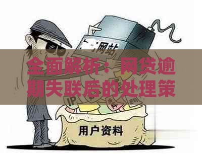 全面解析：网贷逾期失联后的处理策略与建议，助您妥善解决问题