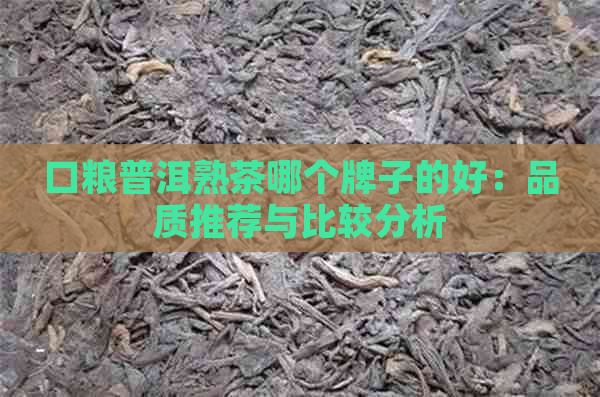 口粮普洱熟茶哪个牌子的好：品质推荐与比较分析