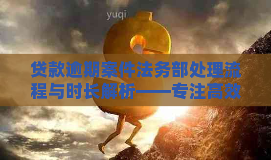 贷款逾期案件法务部处理流程与时长解析——专注高效解决之道