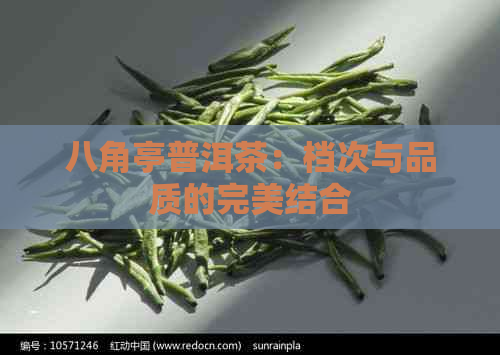 八角亭普洱茶：档次与品质的完美结合