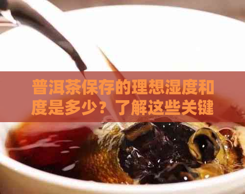 普洱茶保存的理想湿度和度是多少？了解这些关键因素以确保茶叶品质