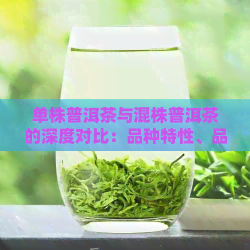 单株普洱茶与混株普洱茶的深度对比：品种特性、品质优劣及市场价值解析