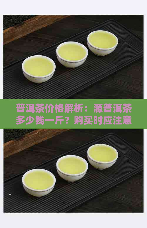 普洱茶价格解析：源普洱茶多少钱一斤？购买时应注意的事项有哪些？