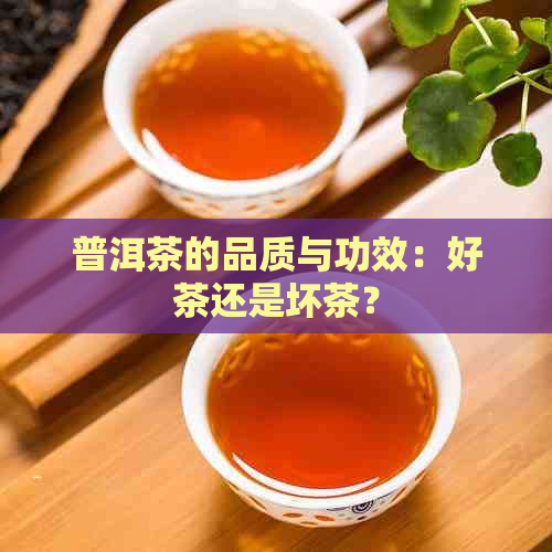 普洱茶的品质与功效：好茶还是坏茶？