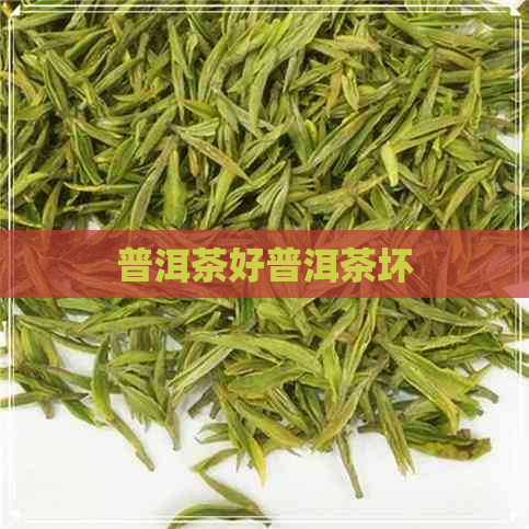 普洱茶好普洱茶坏