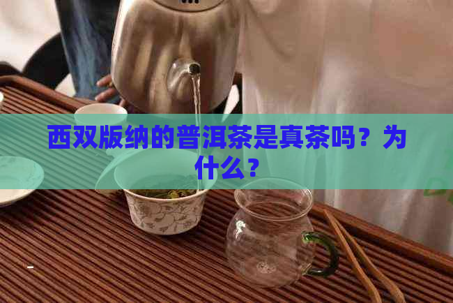 西双版纳的普洱茶是真茶吗？为什么？