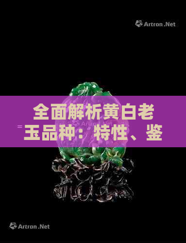 全面解析黄白老玉品种：特性、鉴别方法与收藏价值