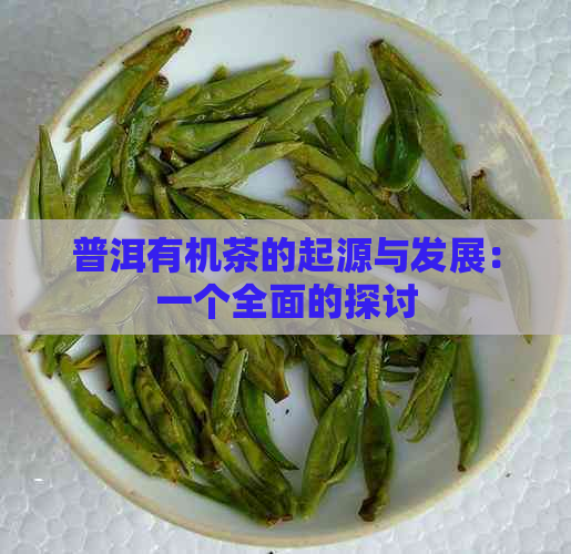 普洱有机茶的起源与发展：一个全面的探讨