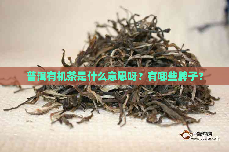 普洱有机茶是什么意思呀？有哪些牌子？