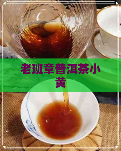 老班章普洱茶小黄