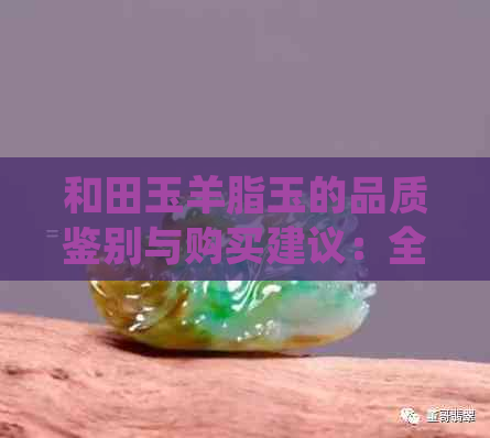 和田玉羊脂玉的品质鉴别与购买建议：全面了解和田玉的特点与挑选方法