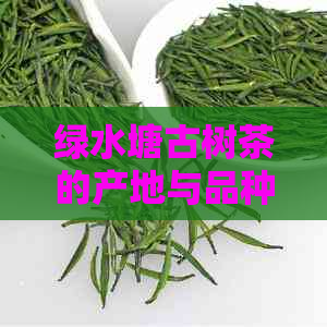 绿水塘古树茶的产地与品种：探索这款独特茶叶的来源与风味