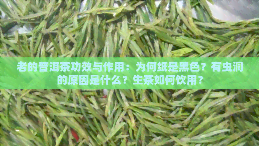 老的普洱茶功效与作用：为何纸是黑色？有虫洞的原因是什么？生茶如何饮用？