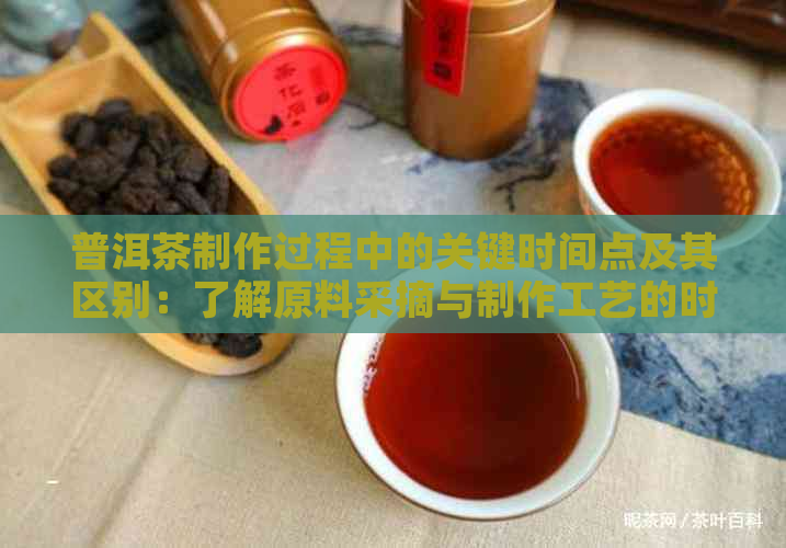 普洱茶制作过程中的关键时间点及其区别：了解原料采摘与制作工艺的时间差异