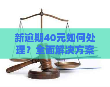 新逾期40元如何处理？全面解决方案助你轻松应对！