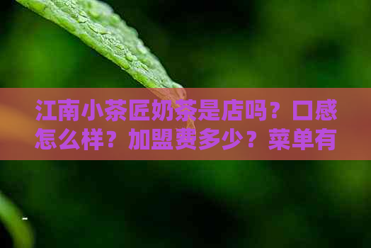 江南小茶匠奶茶是店吗？口感怎么样？加盟费多少？菜单有哪些？