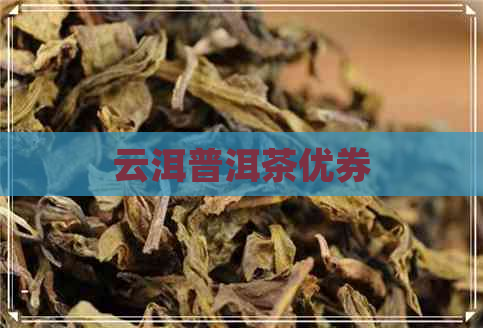 云洱普洱茶优券