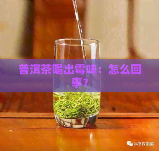 普洱茶喝出霉味：怎么回事？