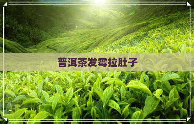 普洱茶发霉拉肚子