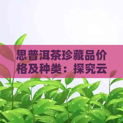 思普洱茶珍藏品价格及种类：探究云南思茶叶的珍稀品种和市场价