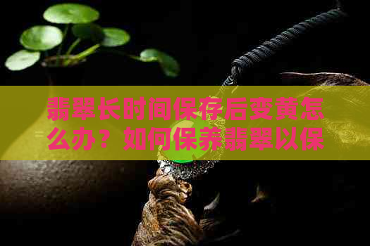 翡翠长时间保存后变黄怎么办？如何保养翡翠以保持其色泽艳丽？