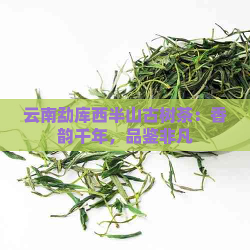 云南勐库西半山古树茶：香韵千年，品鉴非凡